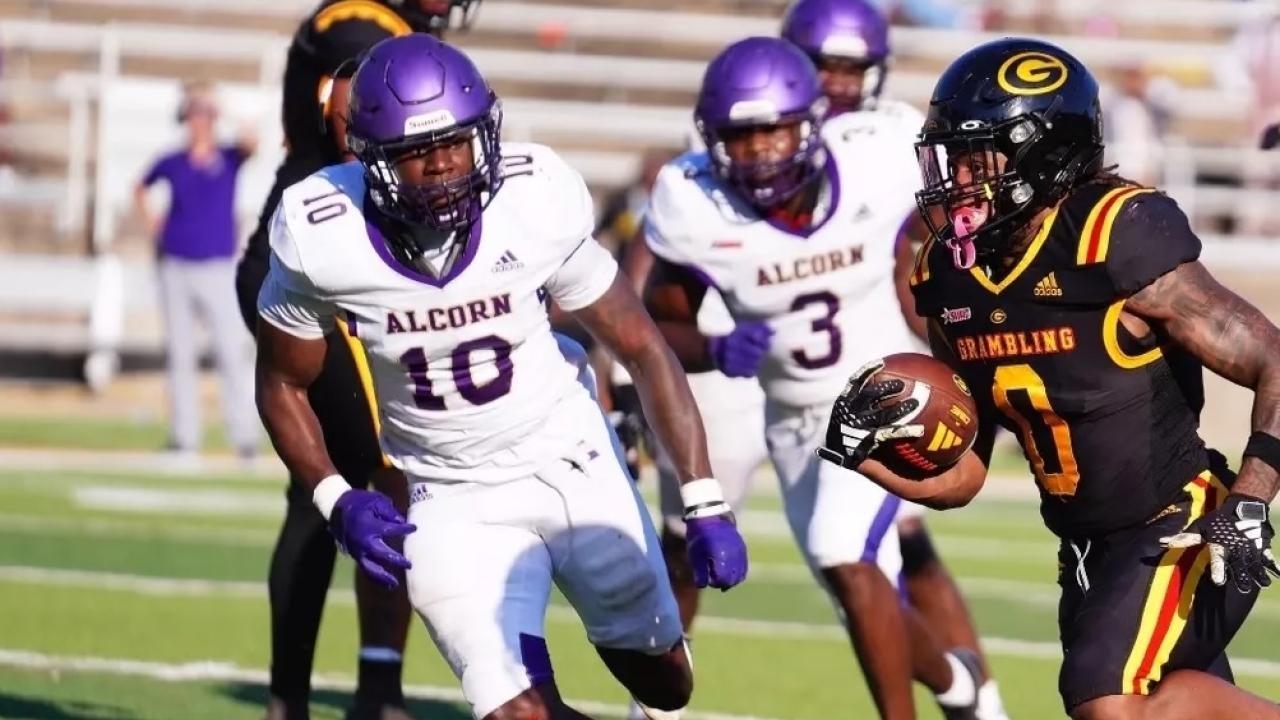 alcorn